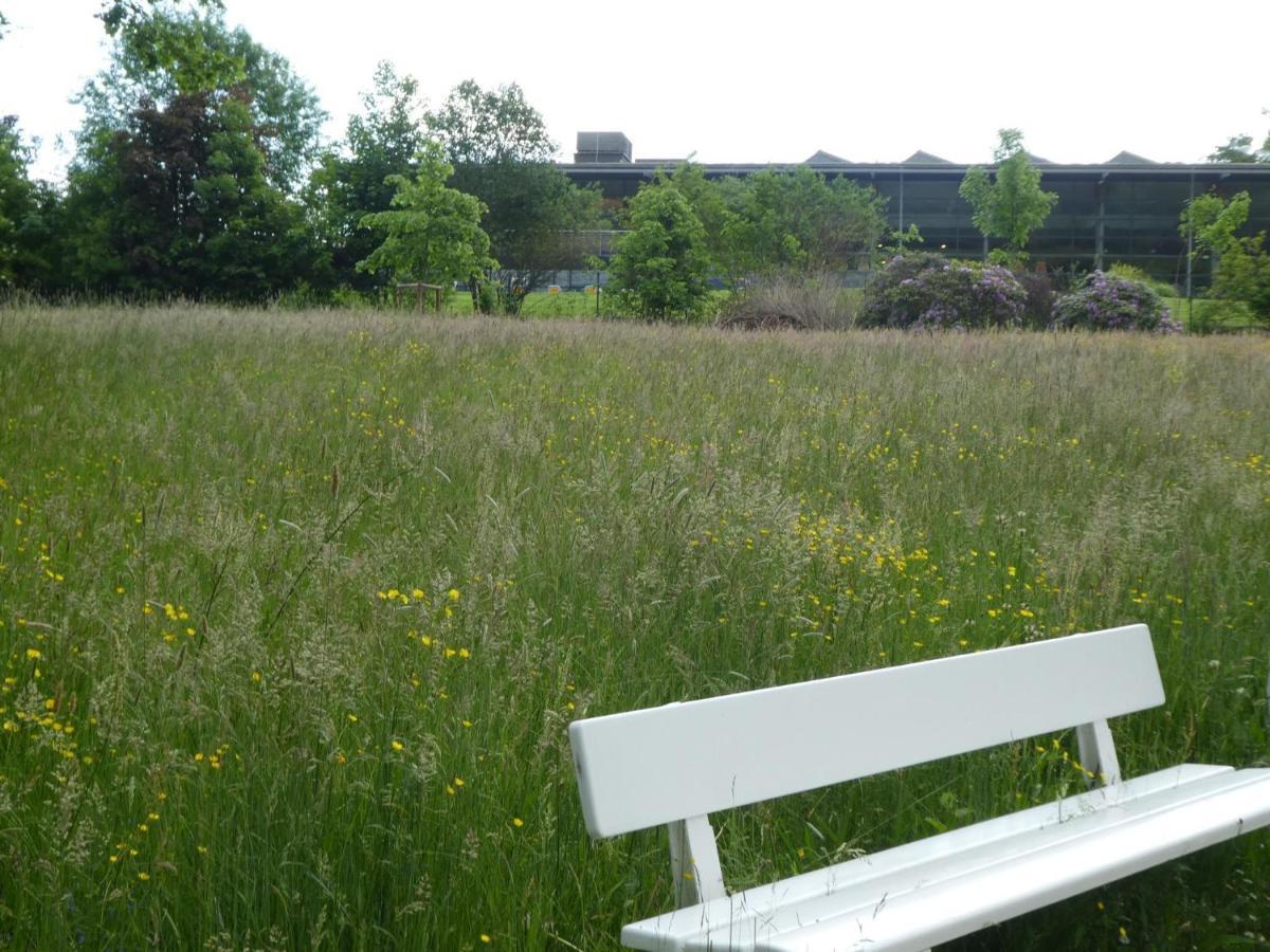 Ferienwohnung Am Hirschpark บัดเพอร์ทอนท์ ภายนอก รูปภาพ